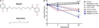 Mygalin: An Acylpolyamine With Bactericidal Activity